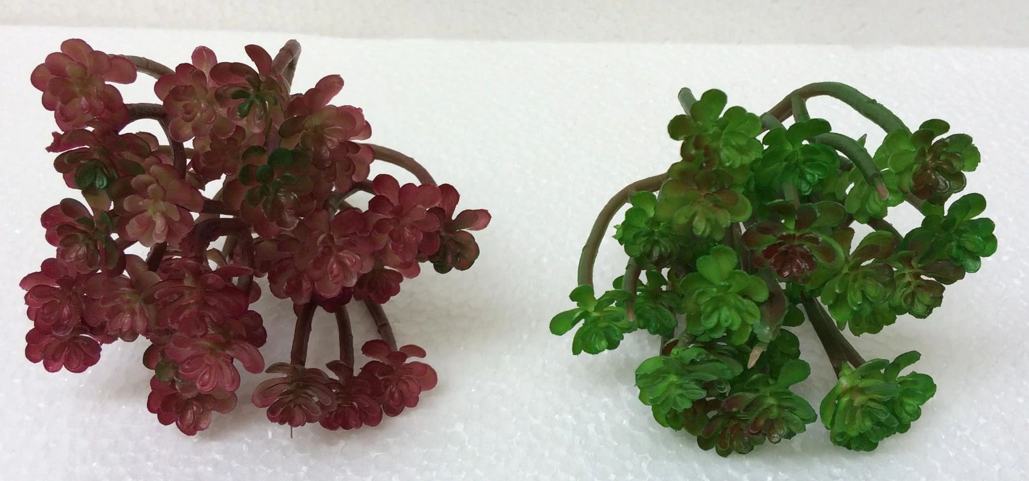 Rubber bonsai bunch tree
